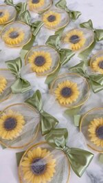girasole