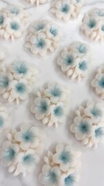 fiore-di-ciliegio