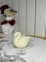 cigno