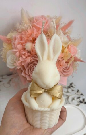 coniglio-nel-cestino