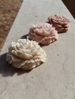 peonia