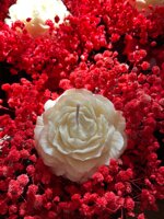 bouquet-di-peonia