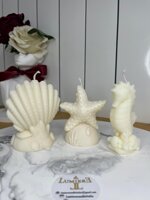 cavalluccioconchiglia-e-stella-marina