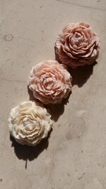 peonia