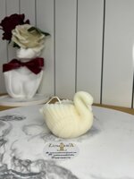 cigno