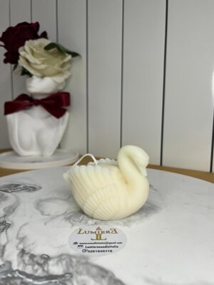 cigno cigno