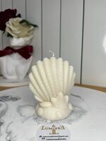 cavalluccioconchiglia-e-stella-marina