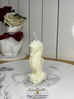 cavalluccioconchiglia-e-stella-marina