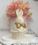 coniglio-nel-cestino