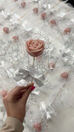 rosa-con-stecco-nuova-versione