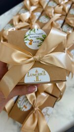 leoncino