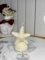 cavalluccioconchiglia-e-stella-marina