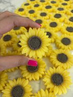 girasole