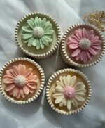 margherite-in-contenitore