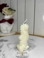 cavalluccioconchiglia-e-stella-marina
