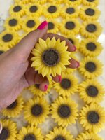 girasole
