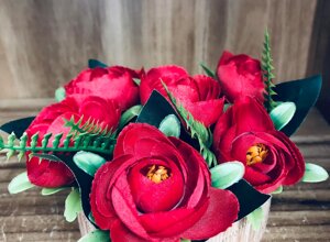 482008190_626629846767096_2310955599077278418_n.jpeg
