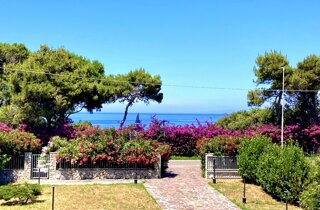 elba%20essence%20suites.jpeg elba%20essence%20suites.jpeg