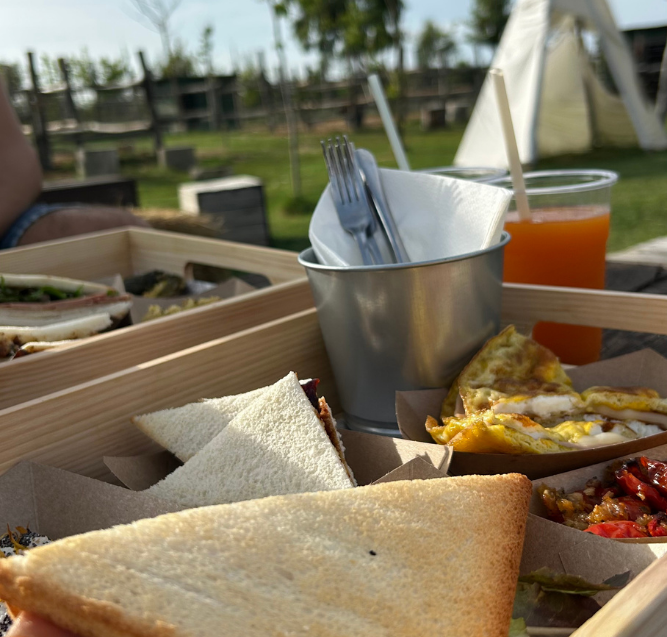 Brunch in fattoria a Cesenatico: da Parco Clorofilla a 20&euro; per cominciare il weekend nella natura