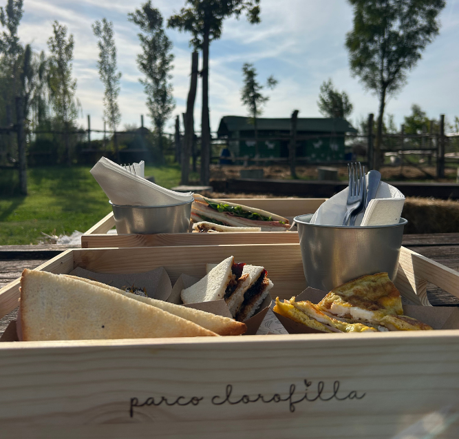 Tramonto in fattoria al Parco Clorofilla Cesenatico durante aperitivo in fattoria