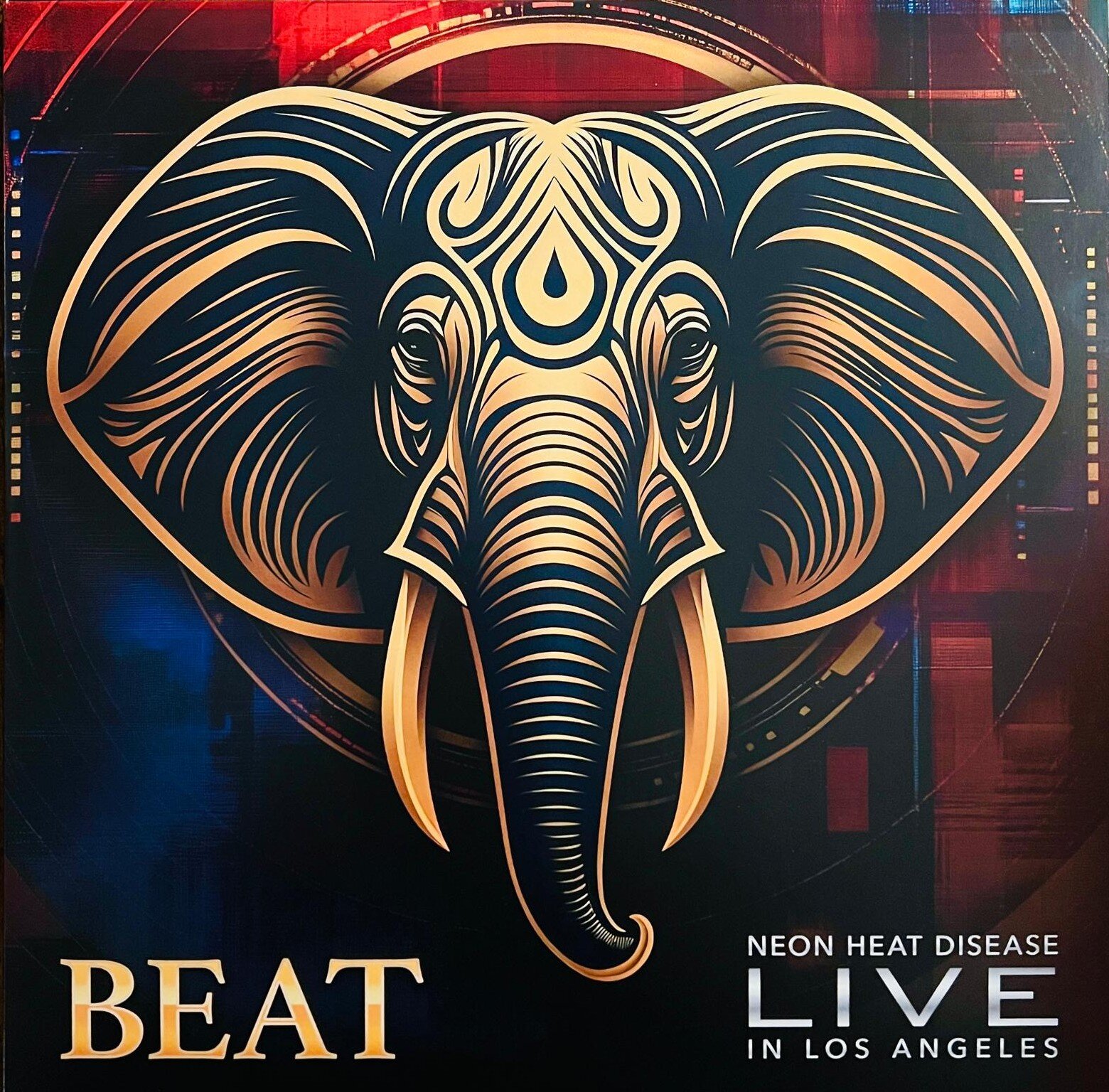 BEAT Live dei BEAT
