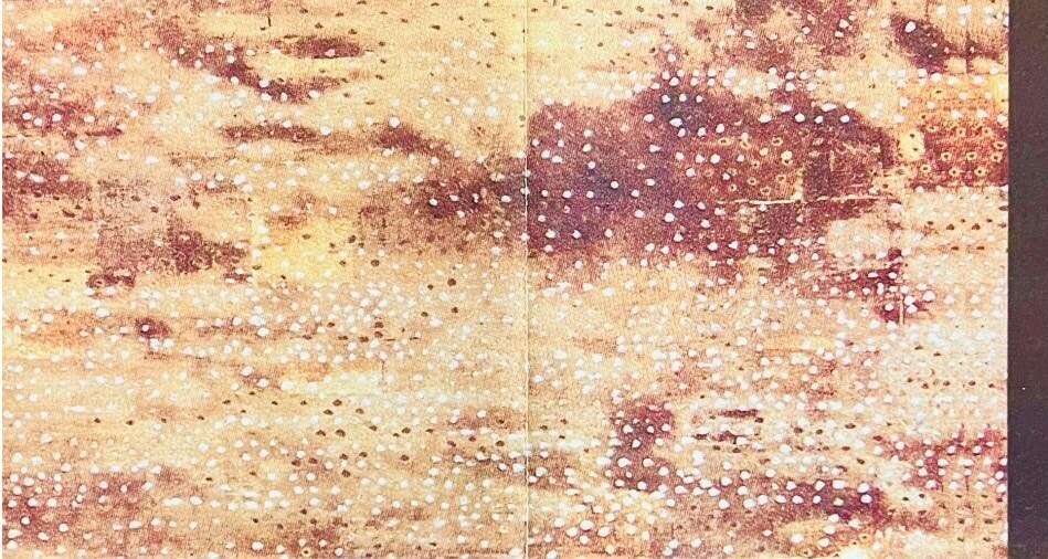 ang2---copy.jpeg ang2---copy.jpeg