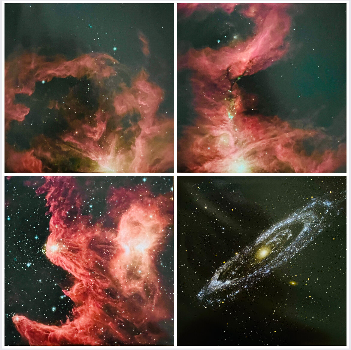 img_6805.jpeg img_6805.jpeg