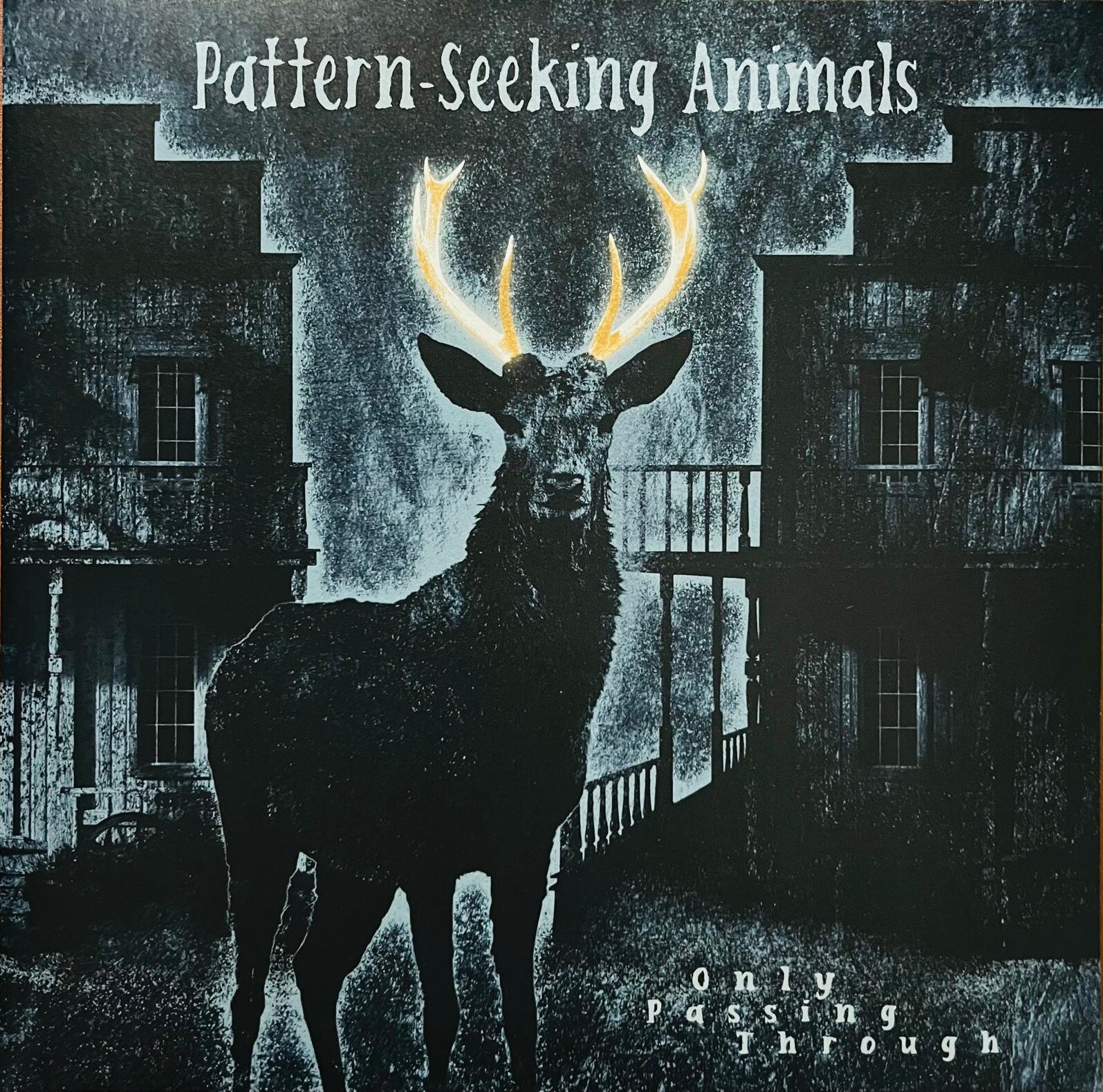 Only Passing Through dei Pattern-Seeking Animals