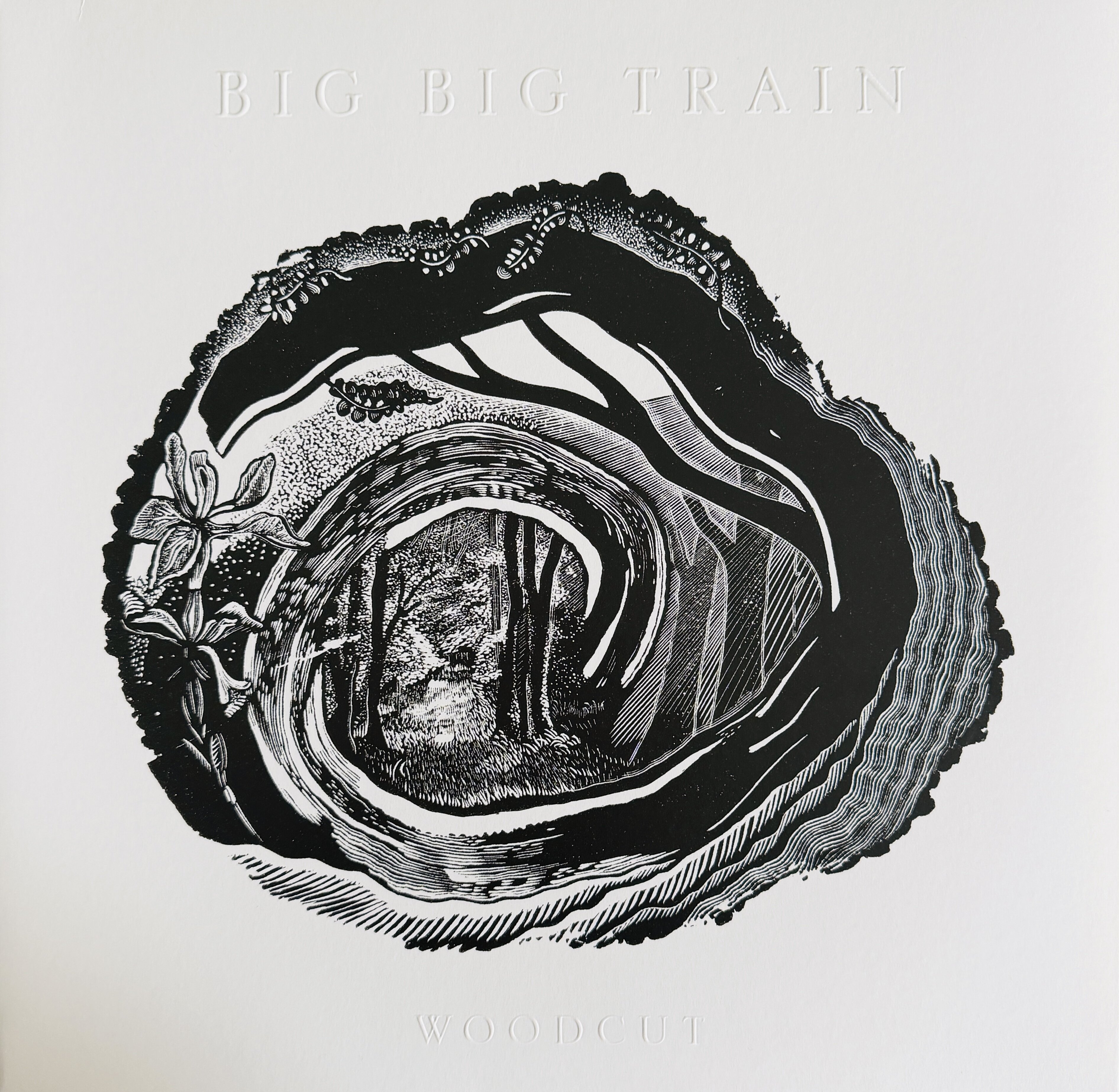 Woodcut dei Big Big Train