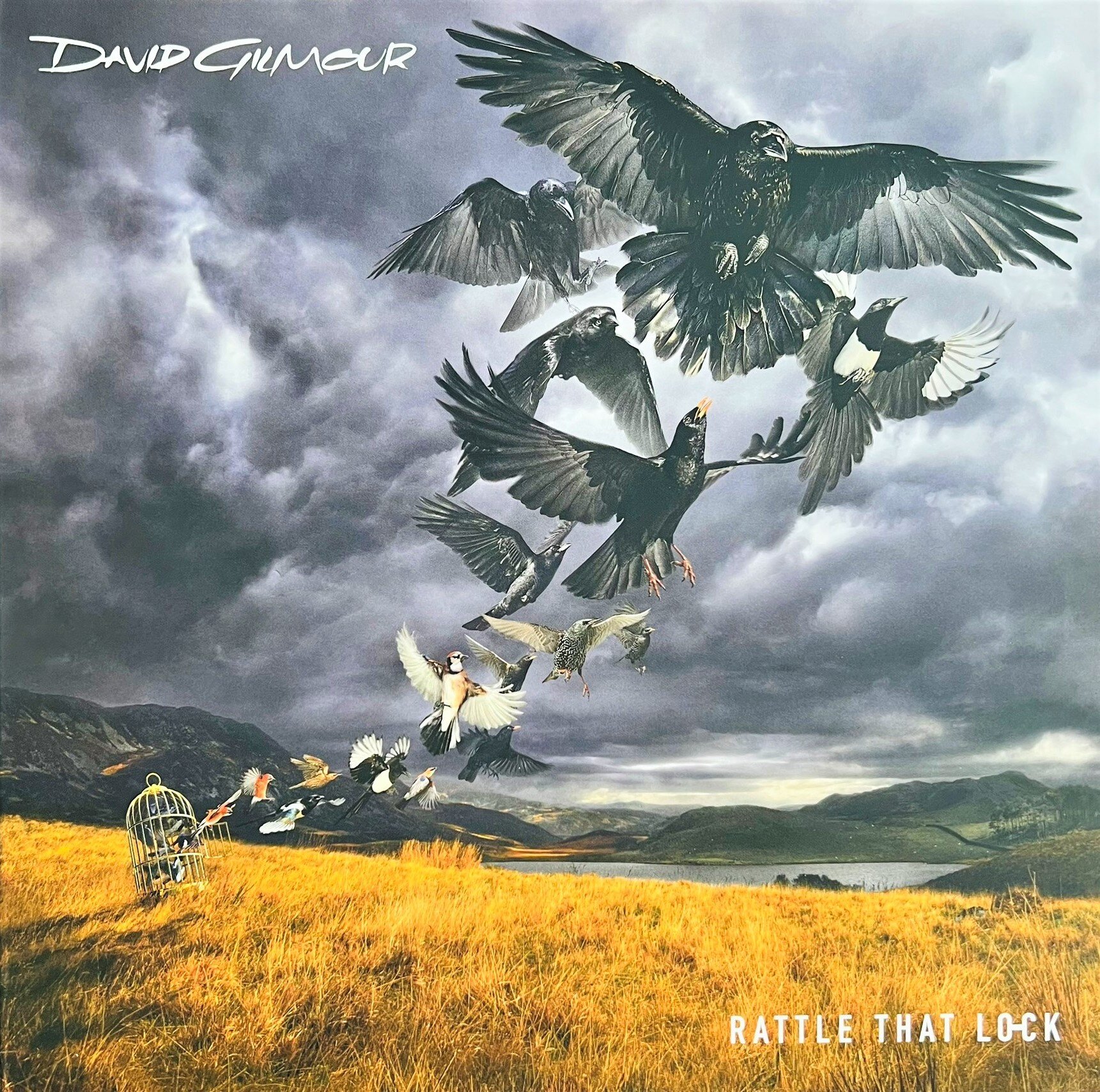 Rattle That Lock di David Gilmour