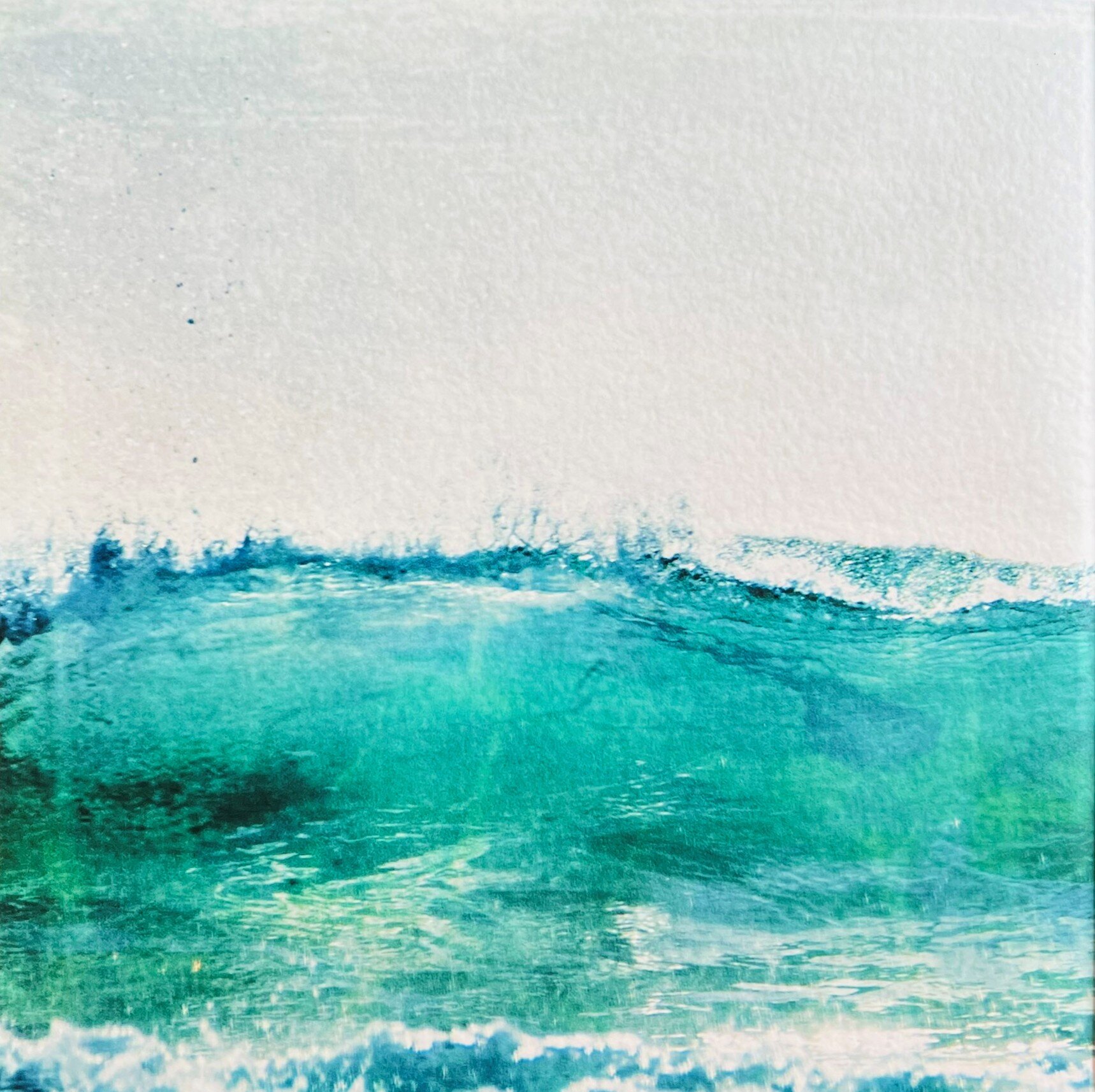 img_4311.jpeg img_4311.jpeg