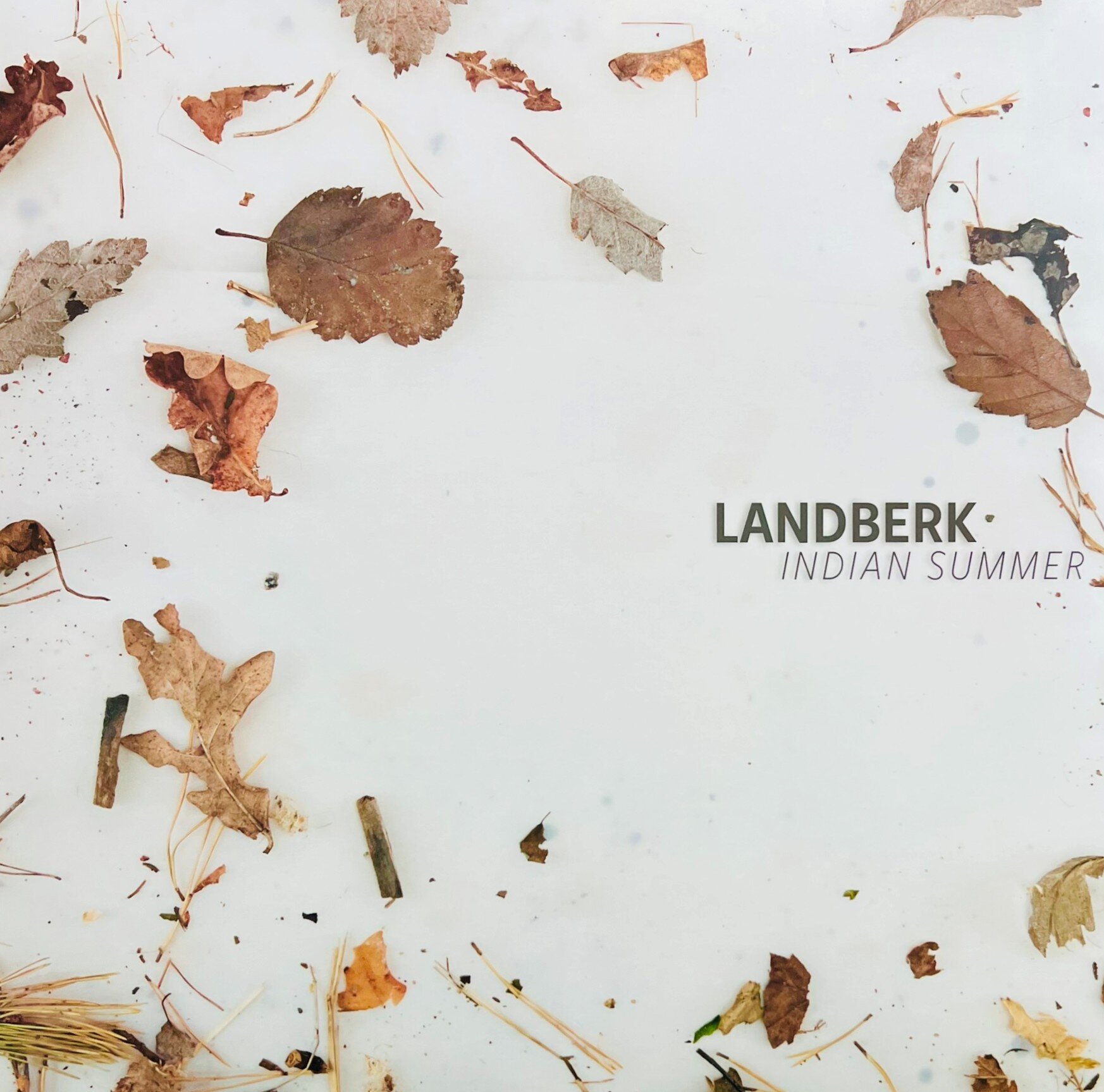 Indian Summer dei Landberk