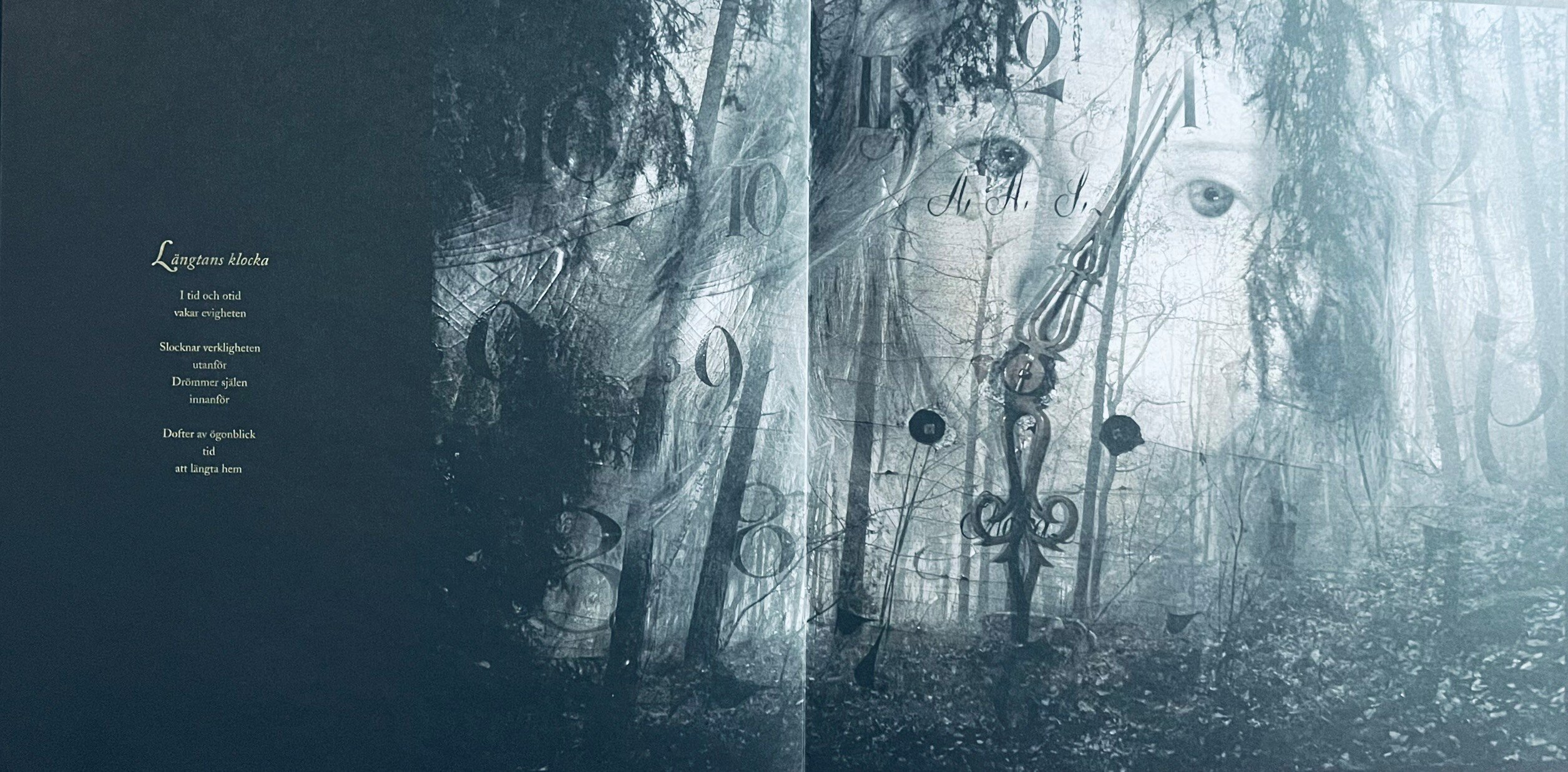 img_1285.jpeg img_1285.jpeg