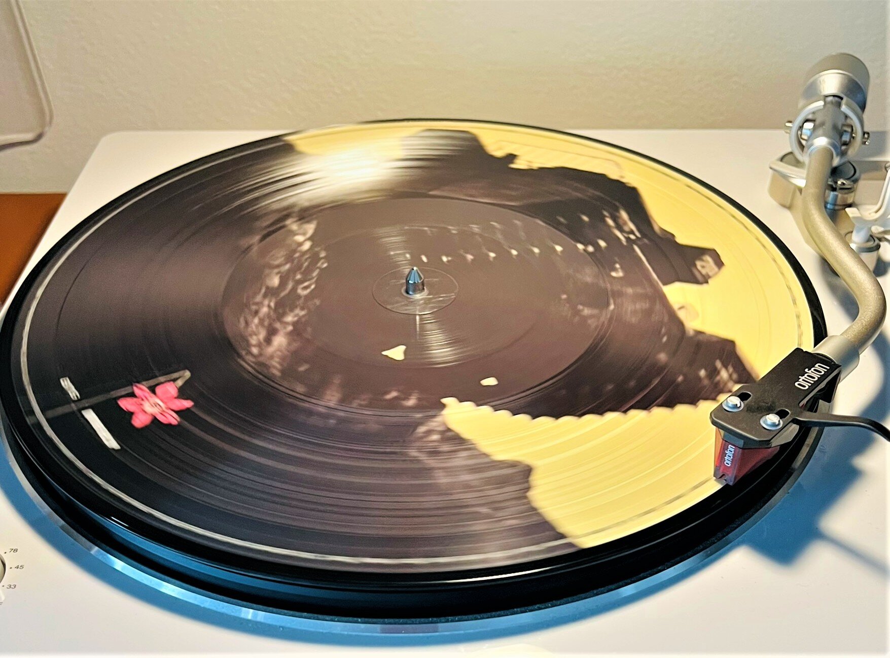 img_3818.jpeg img_3818.jpeg