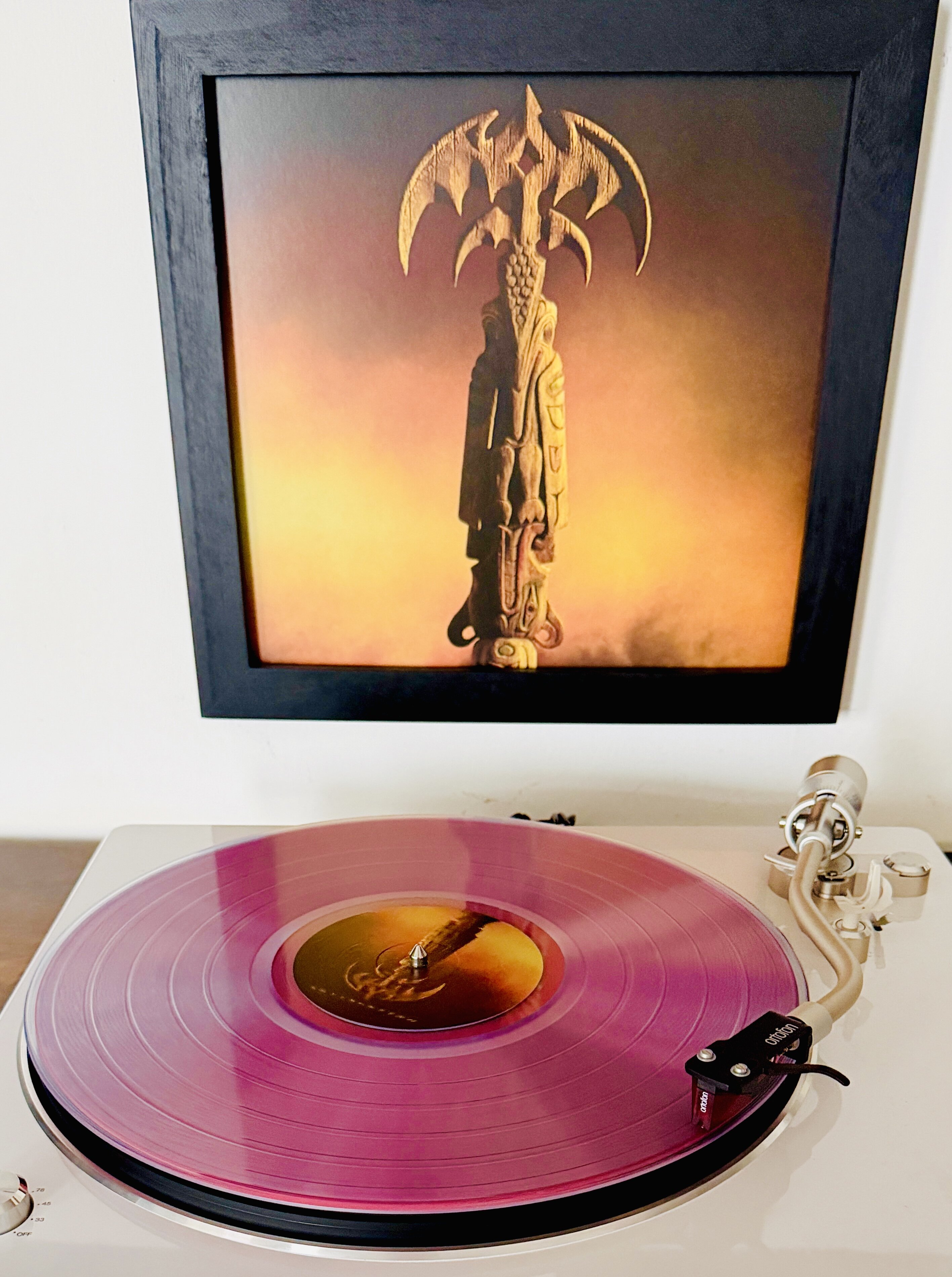 img_1251.jpeg img_1251.jpeg