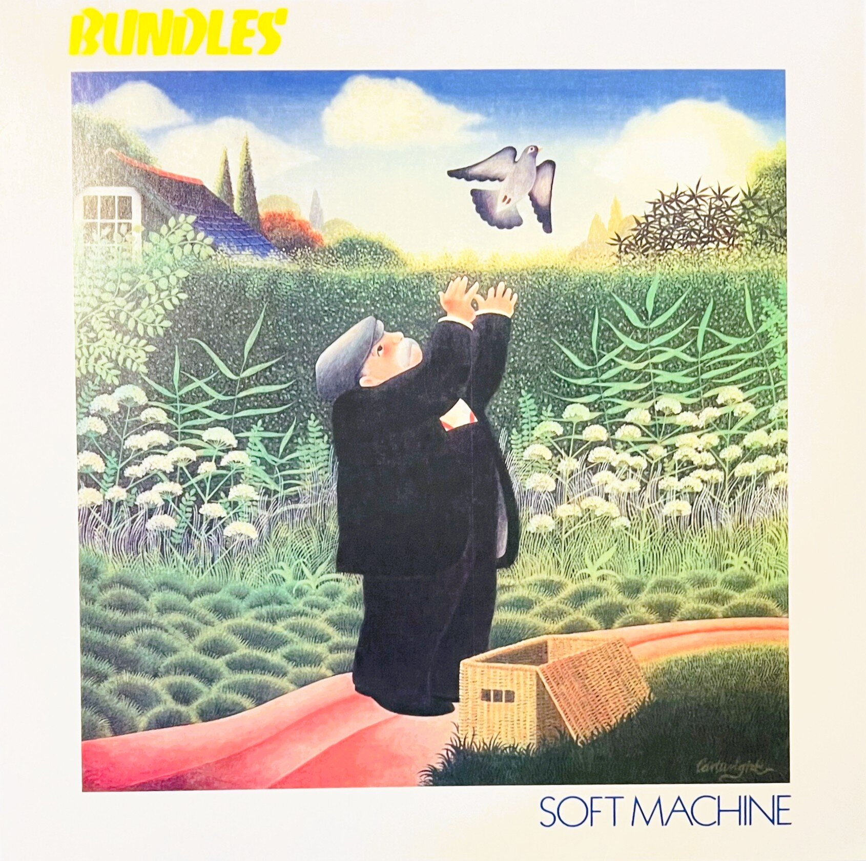 img_0708.jpeg img_0708.jpeg