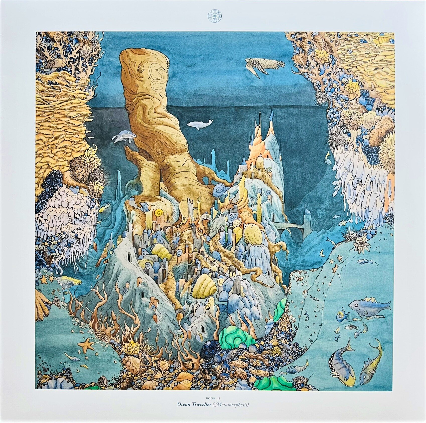 img_2337.jpeg img_2337.jpeg