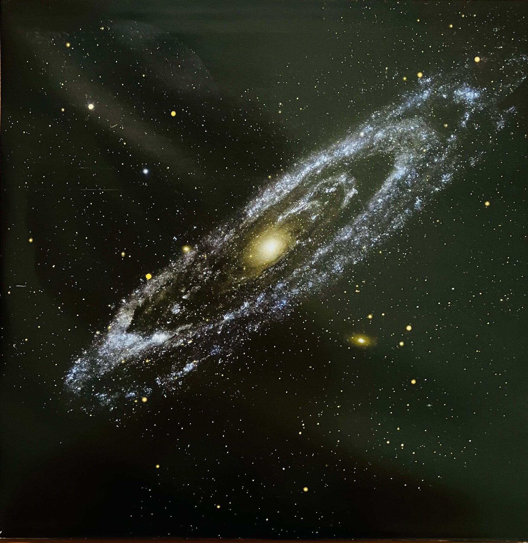 img_6801.jpeg img_6801.jpeg