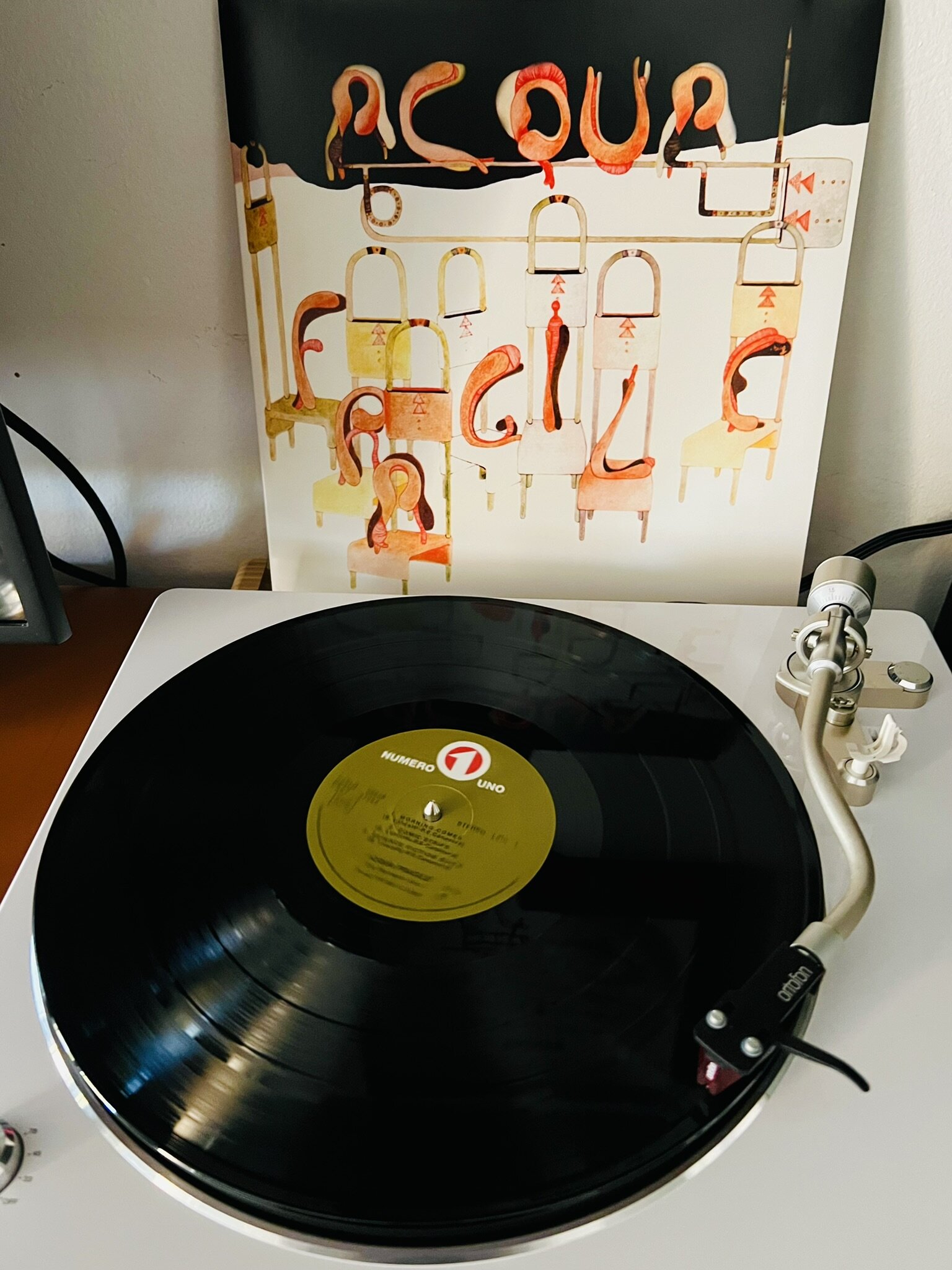 img_6498.jpeg img_6498.jpeg