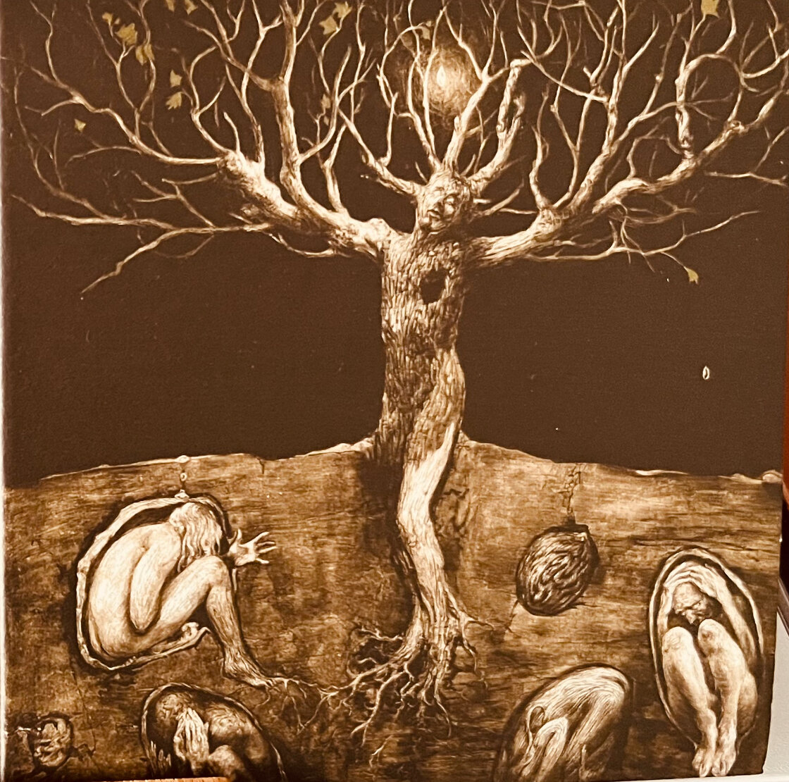 img_6240.jpeg img_6240.jpeg