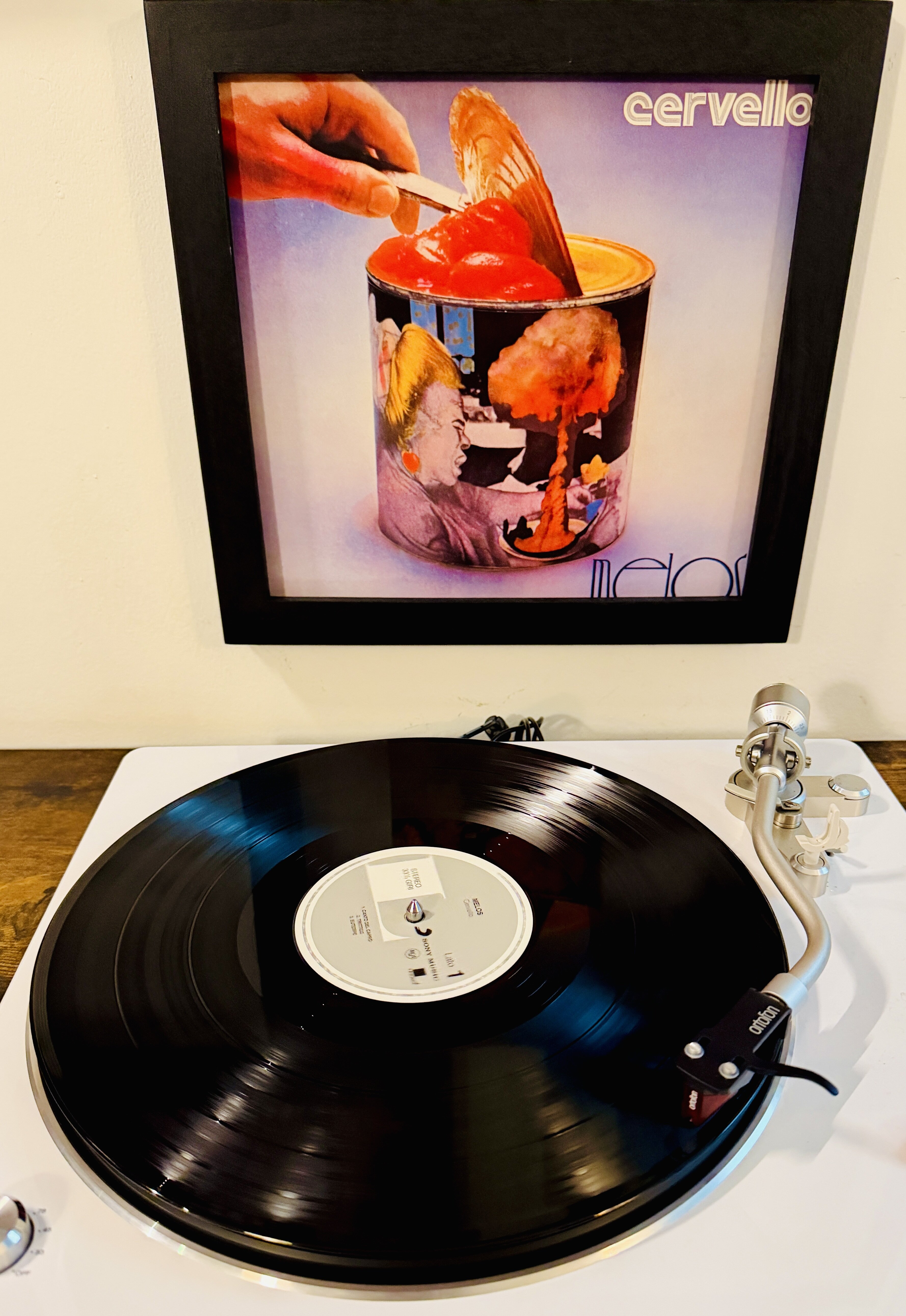 img_1141.jpeg img_1141.jpeg