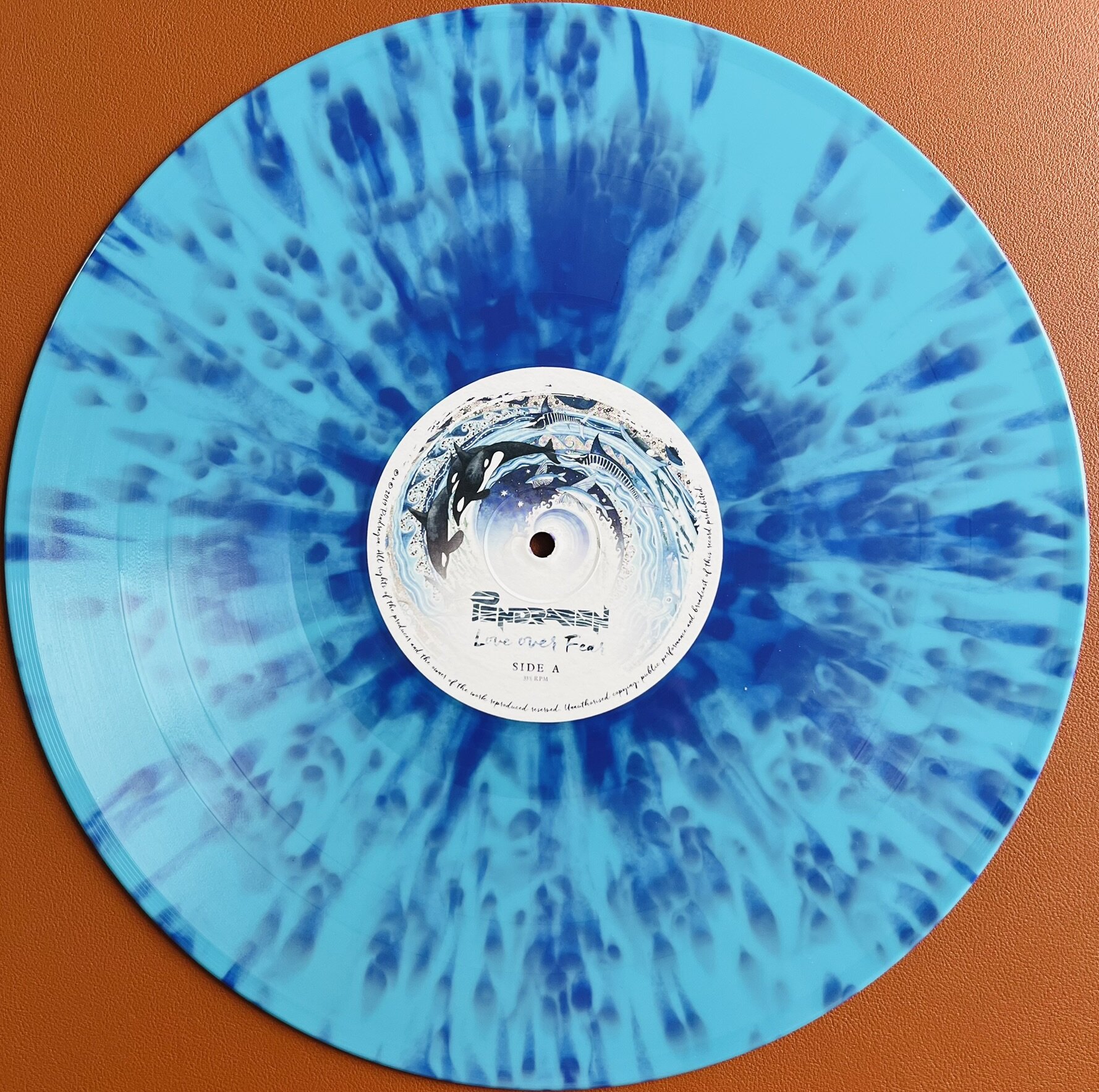 img_4305.jpeg img_4305.jpeg