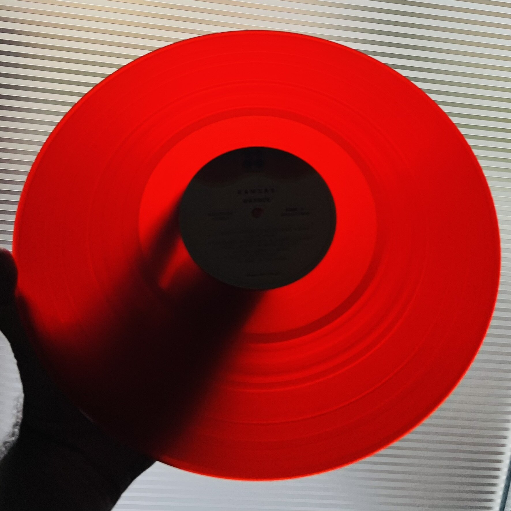 img_1105.jpeg img_1105.jpeg