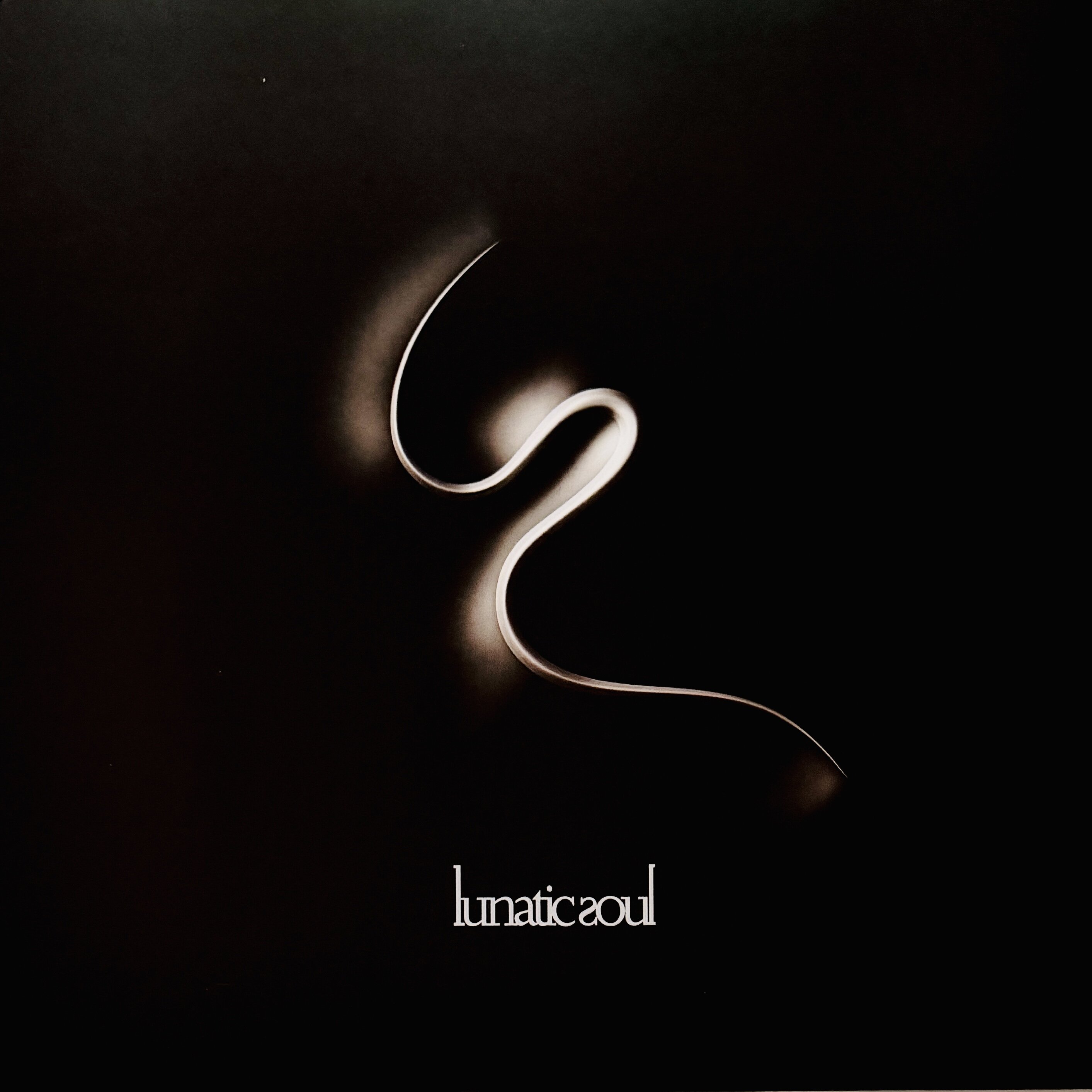 Lunatic Soul, album di debutto e la loro storia...