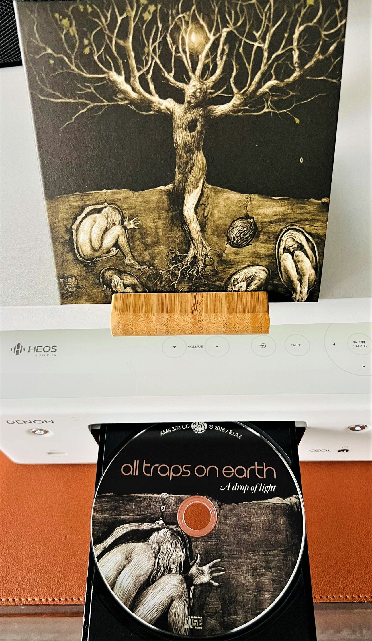 img_6235.jpeg img_6235.jpeg