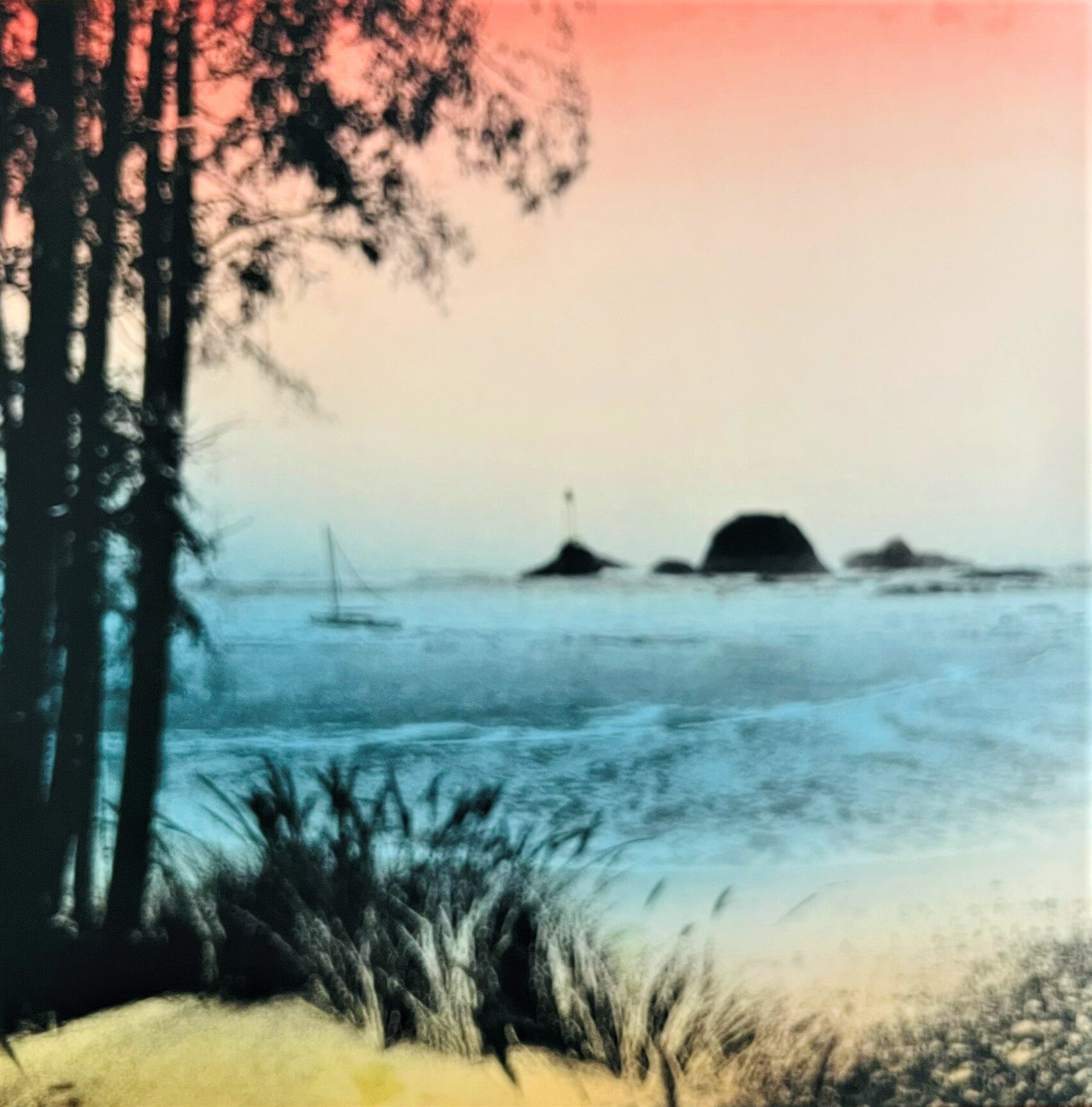 img_3285.jpeg img_3285.jpeg