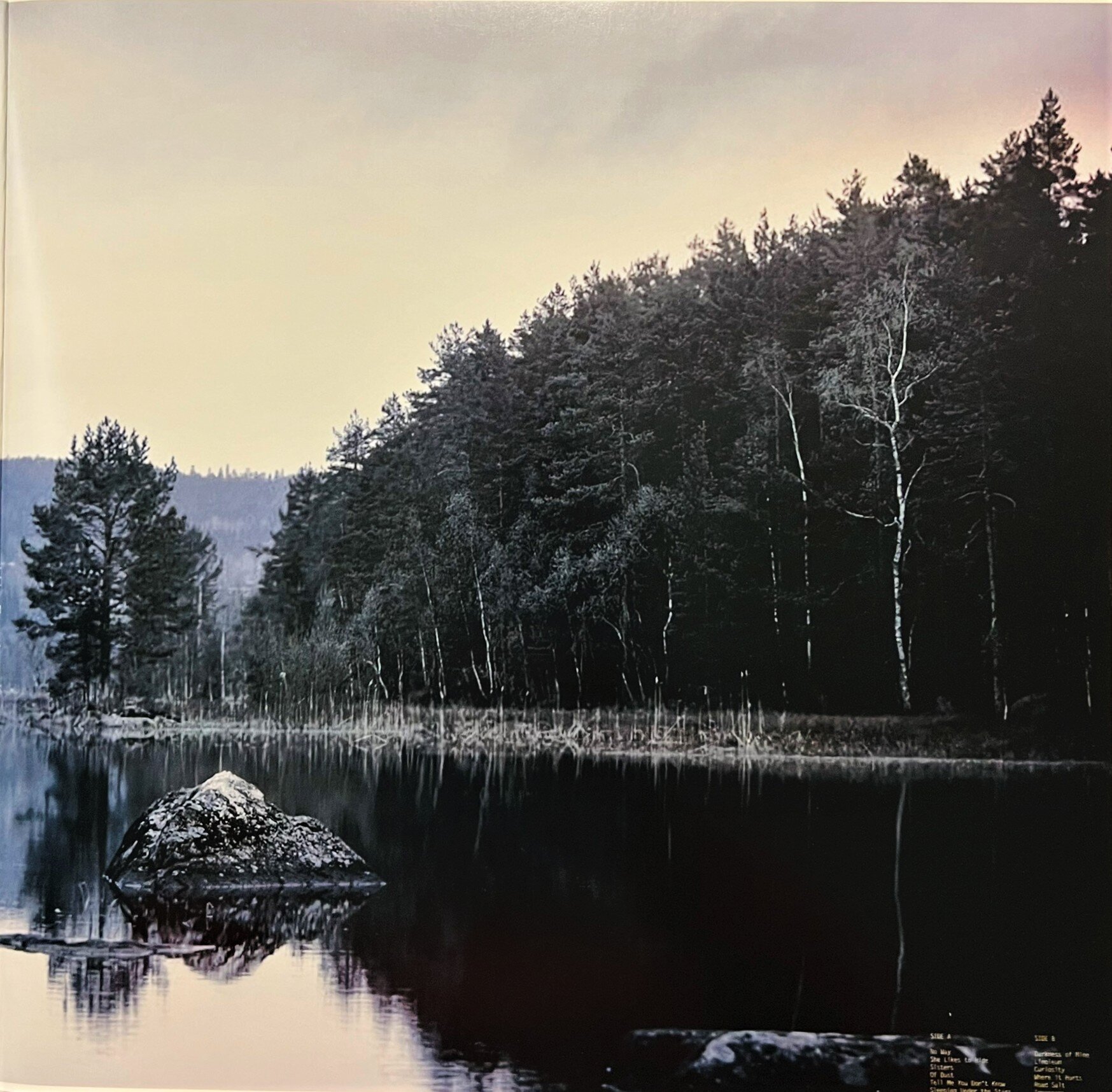 img_3095.jpeg img_3095.jpeg