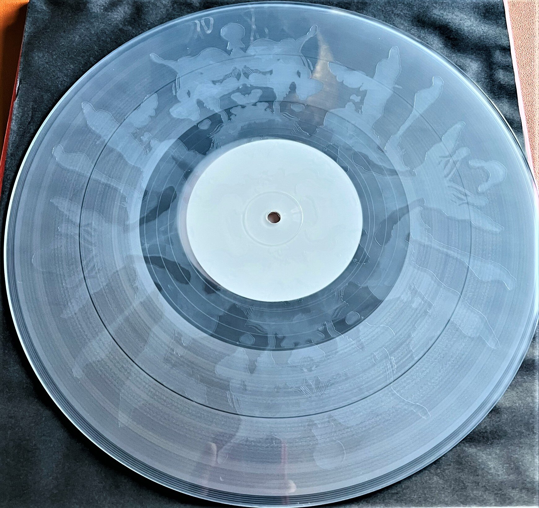 img_2226.jpeg img_2226.jpeg