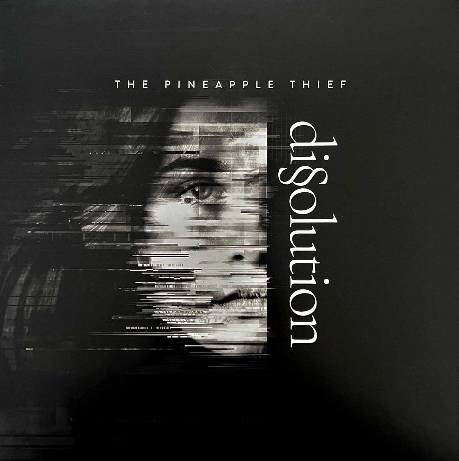 Di§olution (Dissolution) dei Pineapple Thief