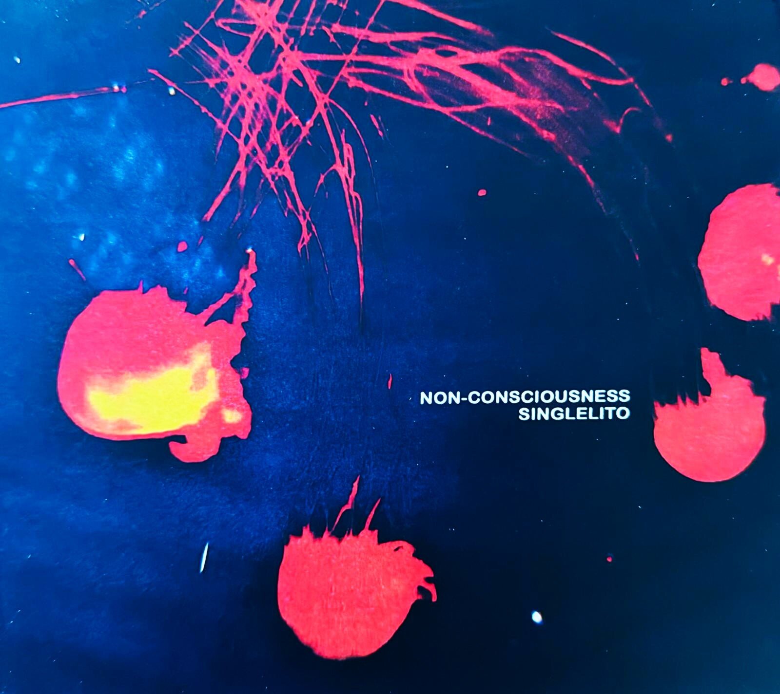 Non-Consciousness di Singlelito